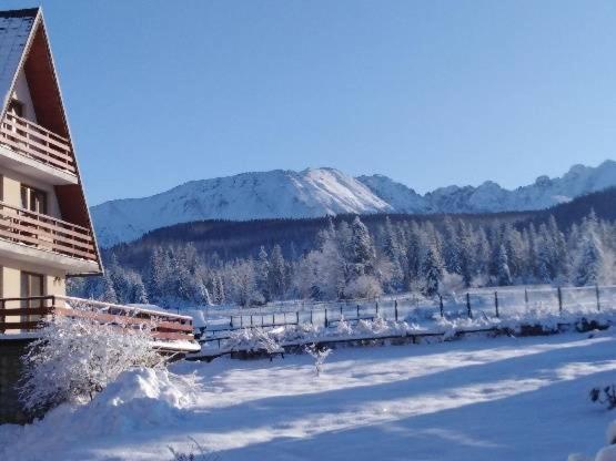 Willa Marysienka Bed and Breakfast Zakopane Buitenkant foto